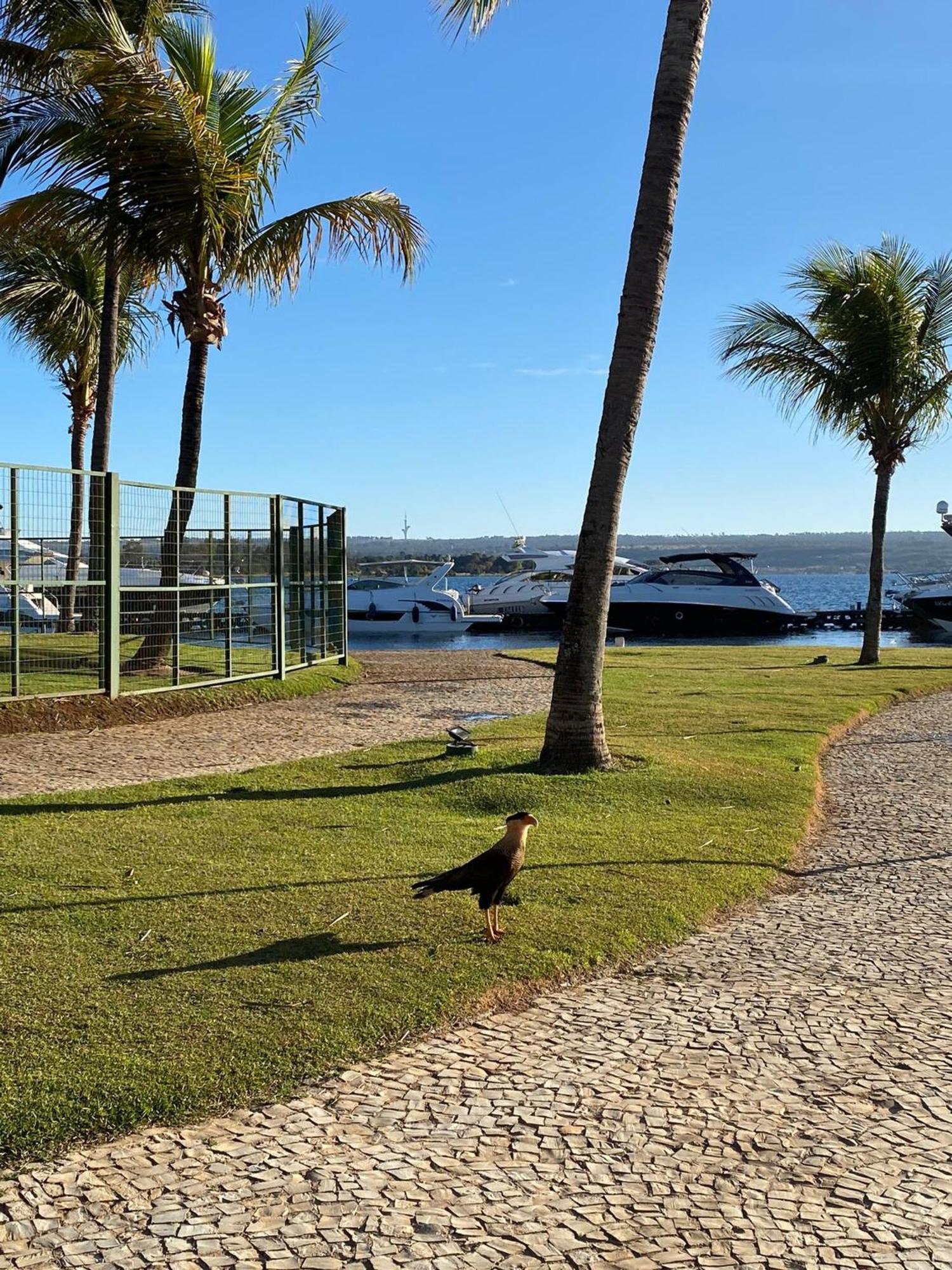 Flat Beira Lago No Centro De Bsb Brasília Zewnętrze zdjęcie