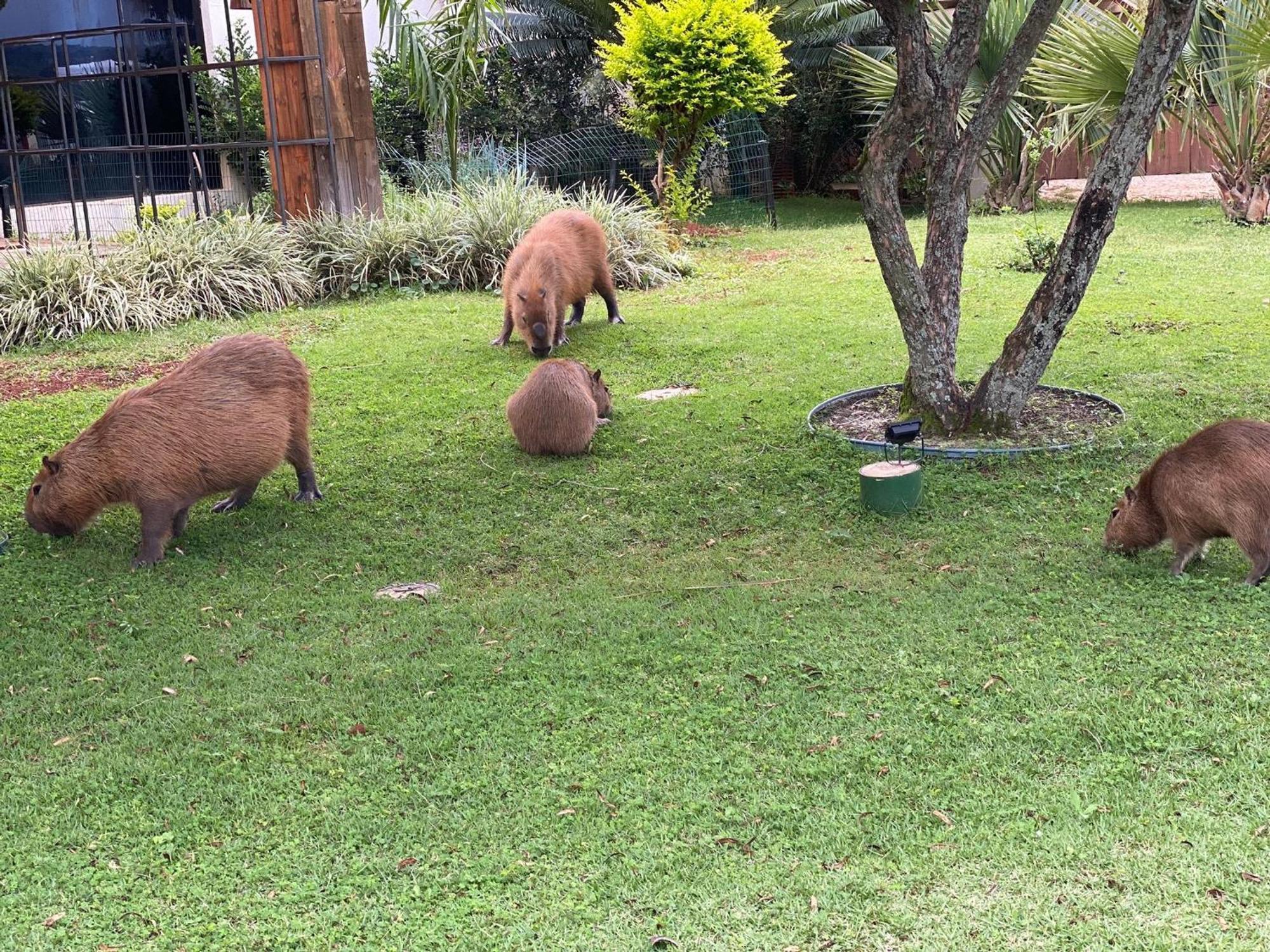 Flat Beira Lago No Centro De Bsb Brasília Zewnętrze zdjęcie